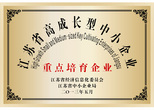 江蘇省高成長型中小企業(yè)--重點(diǎn)培育企業(yè)